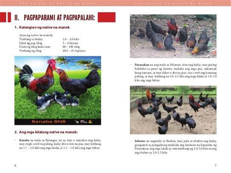 PAGLULUGON NANG ATING MGA MANOK Info: .